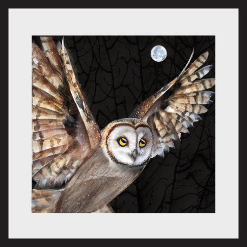 WISE OWLS