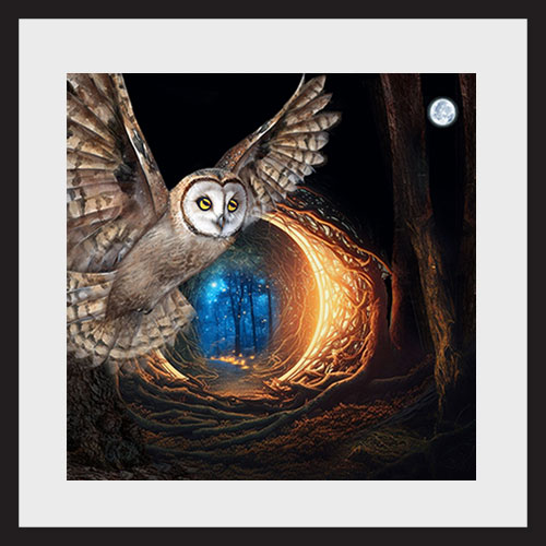 WISE OWLS