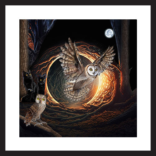WISE OWLS
