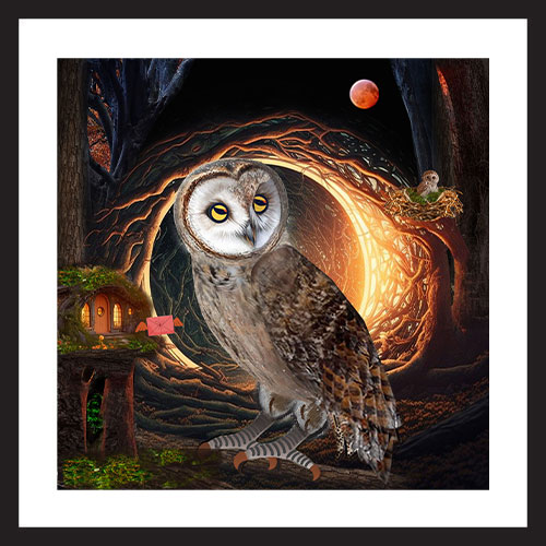 WISE OWLS