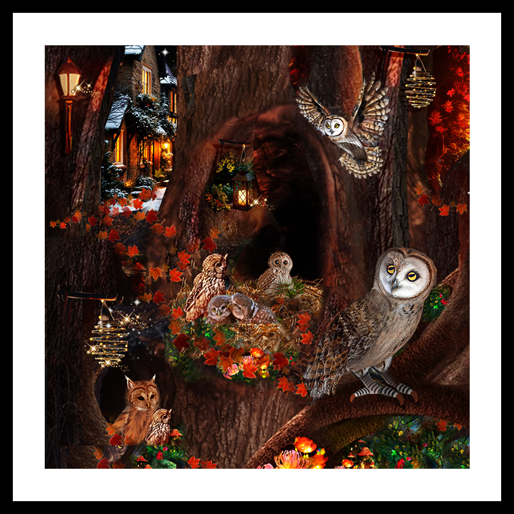 WISE OWLS