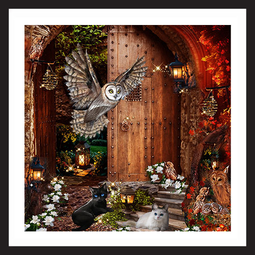 WISE OWLS