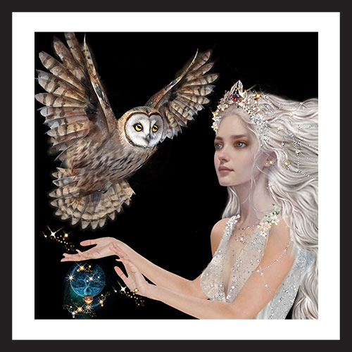 WISE OWLS